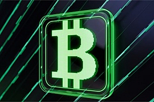 RD币今日最新价格行情