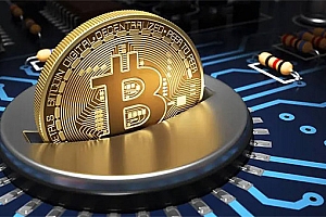 IN币近期的行情如何