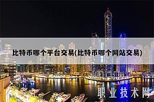 比特币哪个平台交易(比特币哪个网站交易)