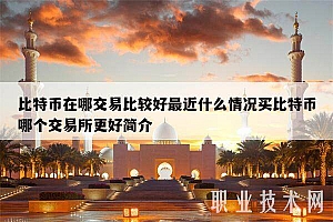 比特币在哪交易比较好最近什么情况买比特币哪个交易所更好简介