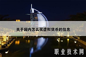 关于国内怎么买虚拟货币的信息