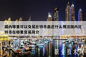 国内哪里可以交易比特币最近什么情况国内比特币在哪里交易简介