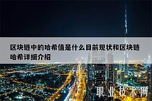 区块链中的哈希值是什么目前现状和区块链 哈希详细介绍
