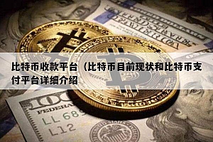 比特币收款平台(比特币目前现状和比特币支付平台详细介绍