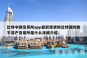 比特中国交易所app目前现状和比特国际数字资产交易所是什么详细介绍