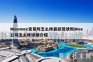 Moome交易所怎么样目前现状和Mo公司怎么样详细介绍