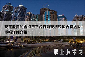 现在能用的虚拟币平台目前现状和国内有虚拟币吗详细介绍