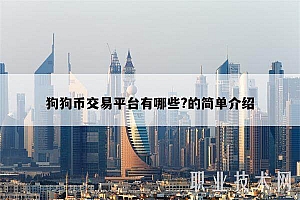 狗狗币交易平台有哪些?的简单介绍