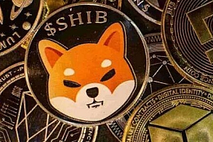 比特币平台app有哪些 倒闭的虚拟货币平台
