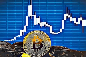 比特币硬件钱包能储存其它币种吗?常见硬件钱包盘点