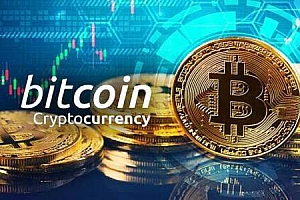btc钱包备份怎么导入(如何将btc转移到其他钱包)