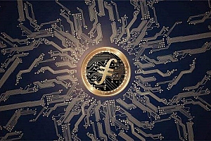 派币今年能上主网吗(派币什么时候上网)
