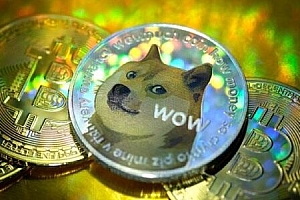 shib币最新消息暴跌(shib币最新消息)