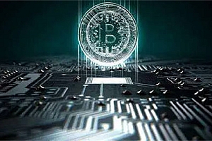 FN币最低的价格是多少