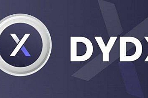 dYd币是什么币种