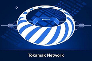 什么是Tokamak Network(TON)币