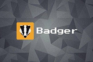 什么是Badger DAO币