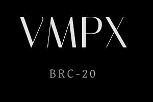 VMP(Ordinals)币是什么?