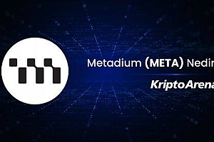 什么是Metadium(META)币