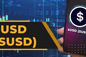 什么是sUSD币
