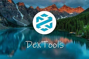 什么是DETools(DET)币