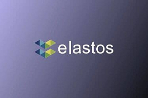 什么是Elastos(ELA)币