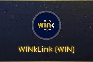什么是WINkLink币