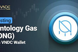 什么是Ontology Gas(ONG)币
