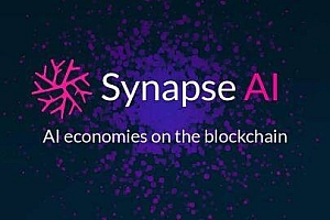 什么是Synapse(SYN)币
