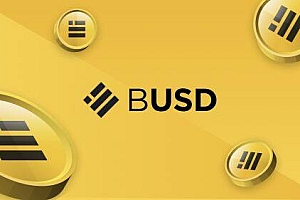 Binance USD(BUSD)币种介绍