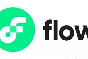 FLOW是什么币种?