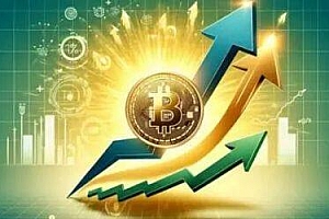 什么是Haven(HV币)?如何将HV代币兑换成USDT?