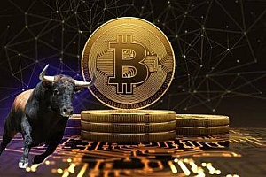 KING是什么币?KING币最新价格行情