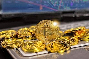什么是Acorn Protocol(ACN)?买ACN币哪个平台好?