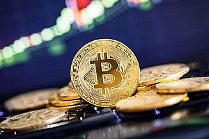 bee蜜蜂币什么情况了?bee小蜜蜂币还能投资吗?