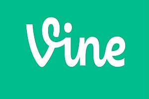 Vine Coin 有什么用,如何使用 Vine Coin?