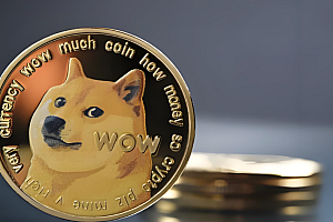 狗狗币DOGE什么平台可以买?2025狗狗币DOGE交易平台汇总