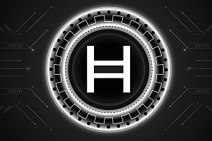 Hedera币怎么质押_怎么质押Hedera币