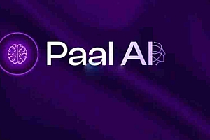 一文详解介绍PAAL币发行价和发行量各多少?