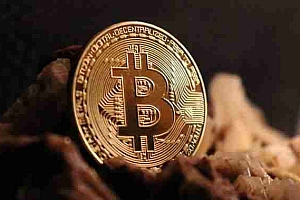 比特币大涨山寨币为什么不涨是什么原因?涨跌关系是什么?