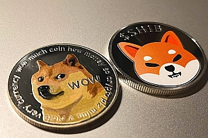 柴犬币(SHIB)是什么?一文解析柴犬币和狗狗币有何区别?