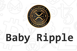 BABYXRP币2025年价格预测