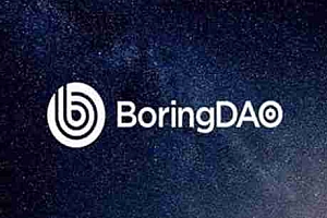 BORING币官方有在运营吗?BORING币的未来发展趋势分析