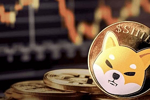 什么是shib币?shib币未来发展和前景分析