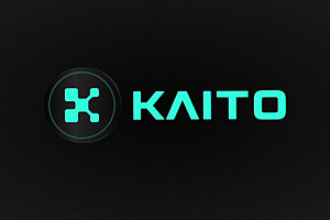 Kaito币,Web3领域的下一个财富风暴?