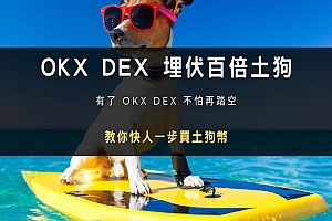 币安 DEX 埋伏百倍土狗,如何使用币安 DEX 购买土狗币?图文教程