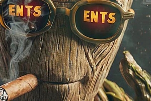 Meme币ENTS筹集2万枚BNB开盘暴跌!项目方:被假冒币安上币人员骗走了