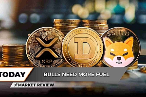 Shiba Inu(Shib)已通过其最重要的年度支持水平正式破坏