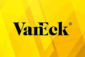 美国投资经理Vaneck已申请为在特拉华州拟议的BNB交易所交易基金建立信托实体。