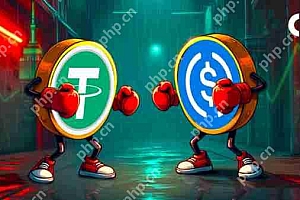 Stablecoin市场刚刚跨越了一个重大的里程碑,其总市值超过了2,300亿美元。